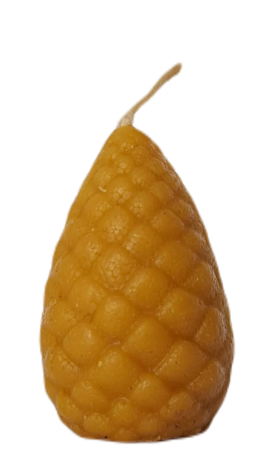B16