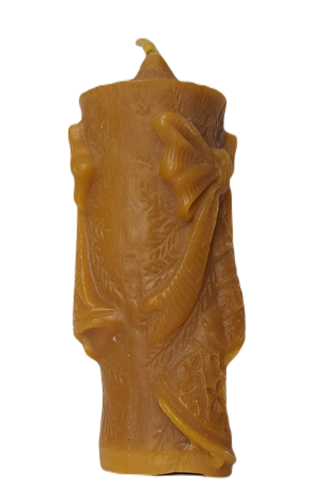 B20