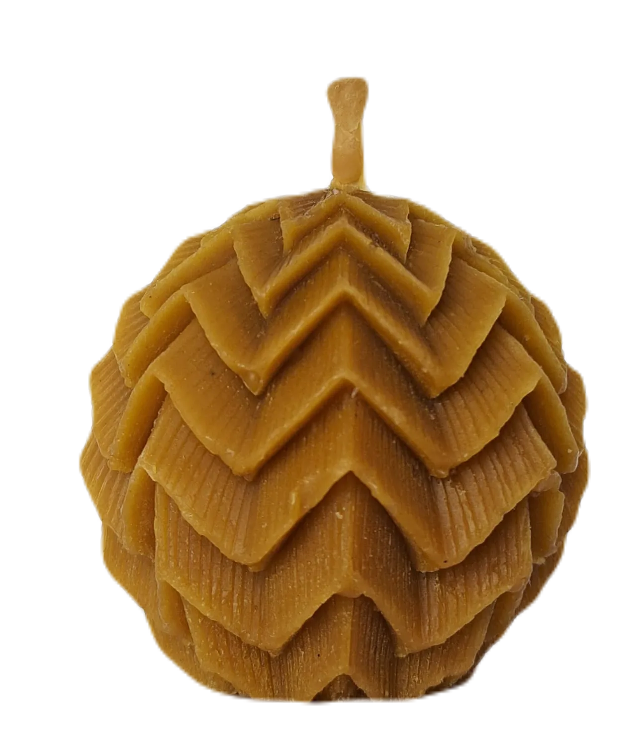 B21