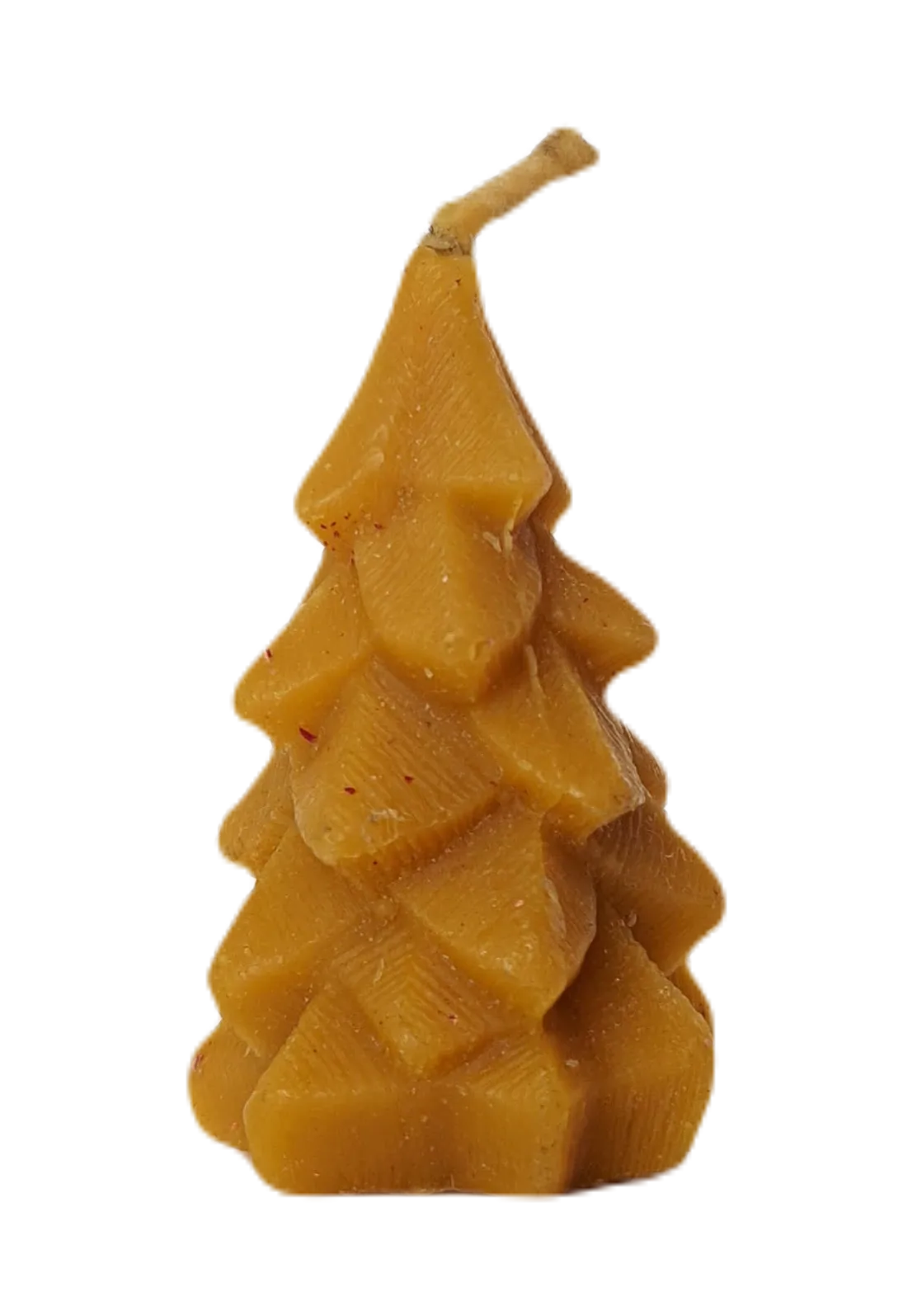 B23