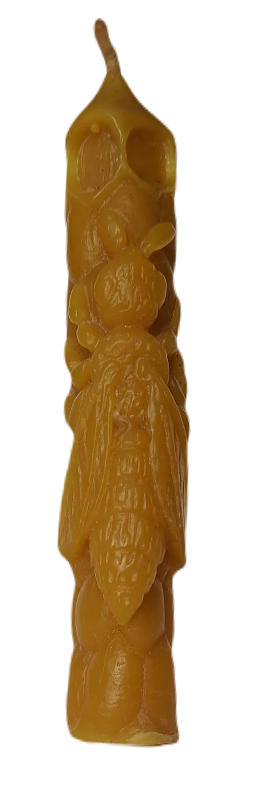 S11