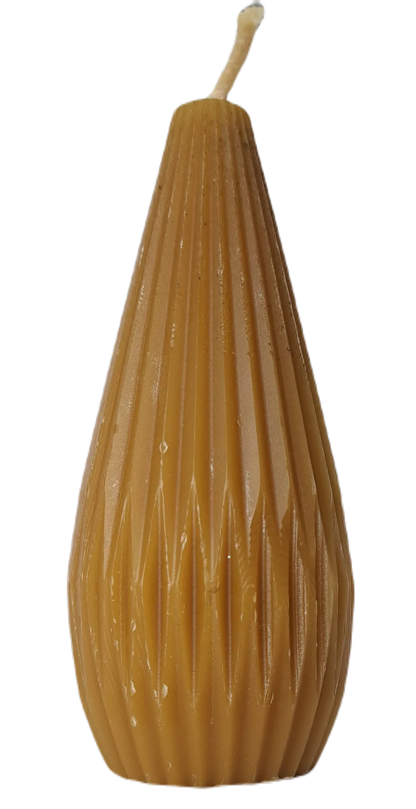 S23