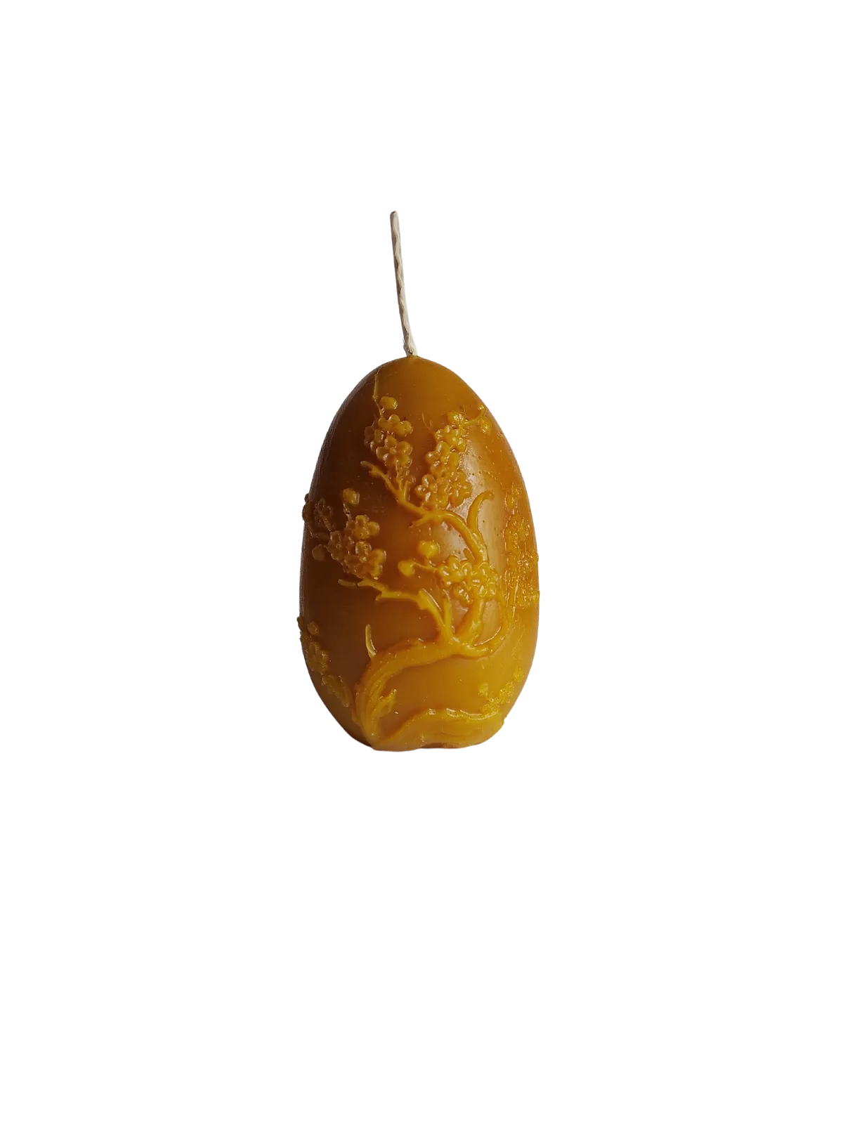 W31