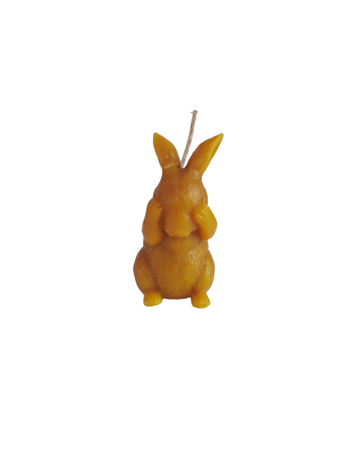 W37