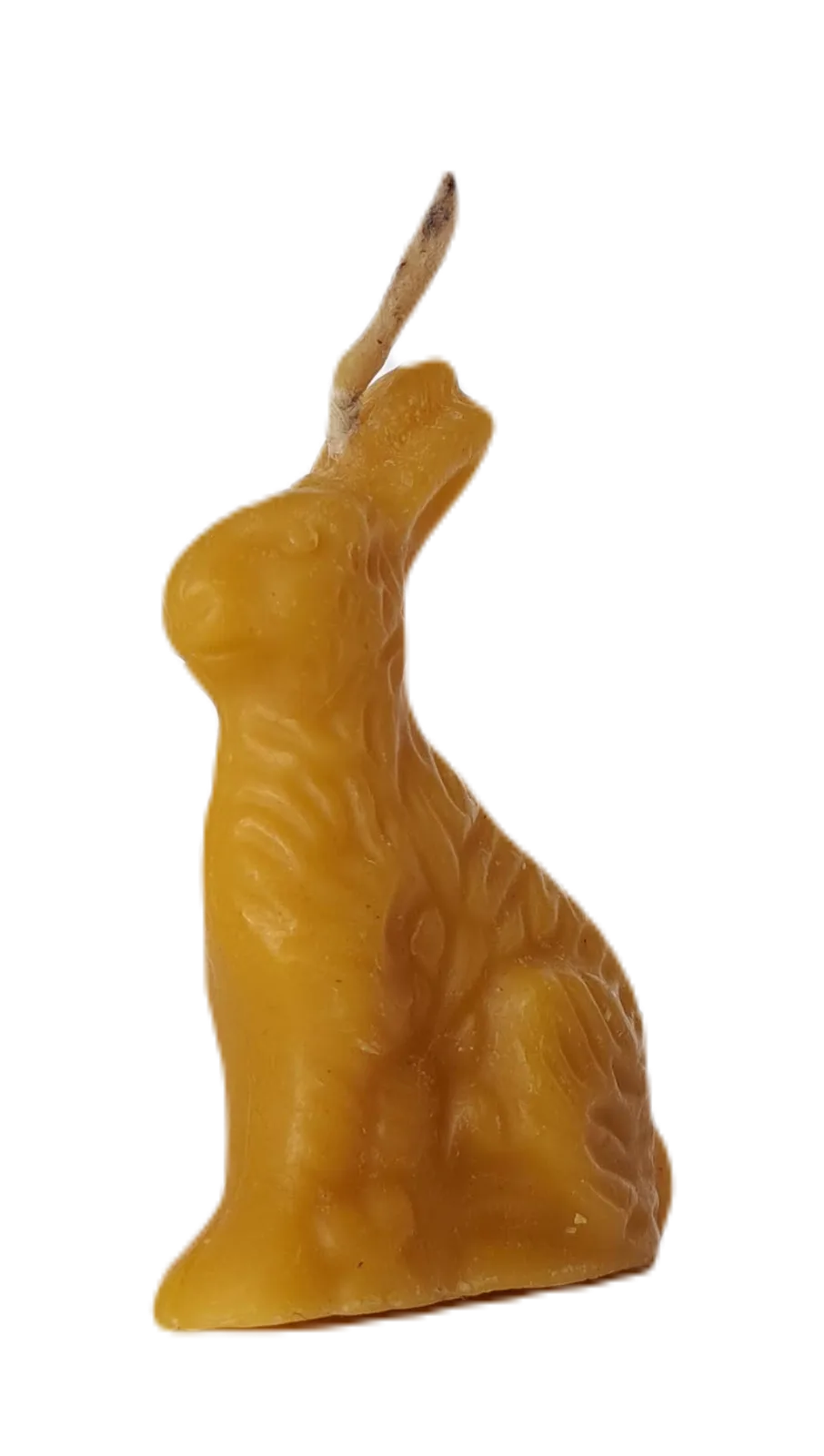 W8